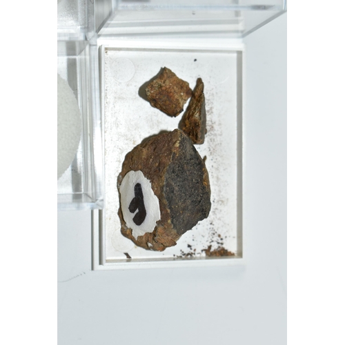 358 - FIVE METEORITE FRAGMENT SAMPLES, comprising a piece of Dhofar 1286, found in Oman 2005, weight 2.3g,... 