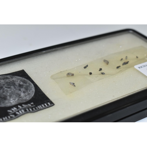 359 - FRAGMENTS OF NWA 8687 LUNAR (TROCTOLITE), found 2014, weight under 0.5g