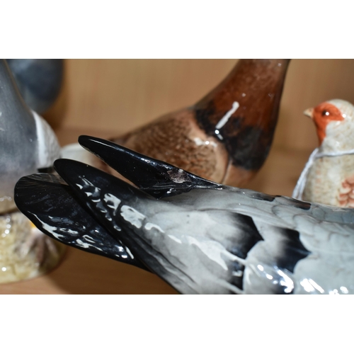 397 - A GROUP OF BESWICK BIRDS, comprising a red brown gloss Pigeon, model no 1383A, first version with th... 