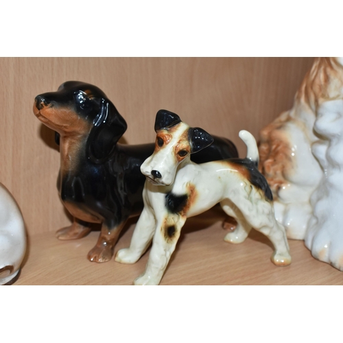 405 - A GROUP OF CERAMIC DOG FIGURES, twelve pieces comprising a large Sylvac terrier model no 1380, heigh... 