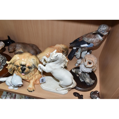 444 - A COLLECTION OF ANIMAL AND BIRD FIGURES, to include a Royal Doulton Peregrine Falcon HN3541 limited ... 