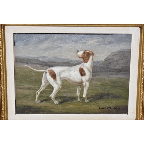 463 - C.HARRISON (20TH CENTURY) A STANDING PORTRAIT STUDY OF A SPORTING DOG, signed bottom right, oil on b... 