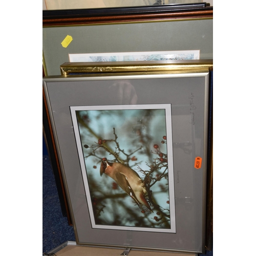 465 - A QUANTITY OF ASSORTED FRAMED PRINTS, to include photographic prints of birds, a Stuart Lafford etch... 