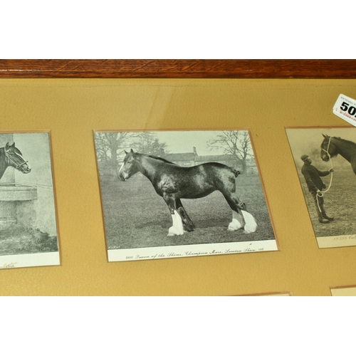 502 - A Framed Collection of Six Victorian Postcards of Champion Mare Shire Horses at The London Show, 'Au... 