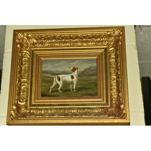 506 - C.HARRISON (20TH CENTURY) A STANDING PORTRAIT STUDY OF A SPORTING DOG, signed bottom right, oil on b... 