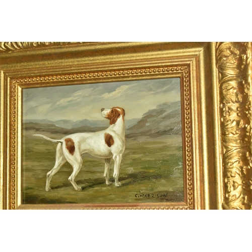 506 - C.HARRISON (20TH CENTURY) A STANDING PORTRAIT STUDY OF A SPORTING DOG, signed bottom right, oil on b... 