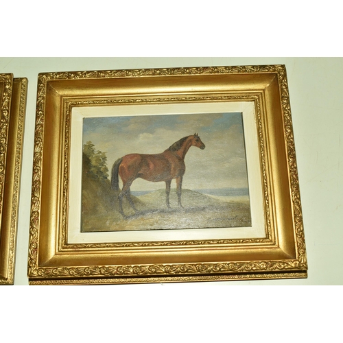 536 - C.HARRISON (20TH CENTURY) TWO EQUINE PORTRAITS, the first depicting a horse with a saddle, signed bo... 