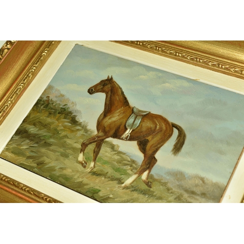 536 - C.HARRISON (20TH CENTURY) TWO EQUINE PORTRAITS, the first depicting a horse with a saddle, signed bo... 