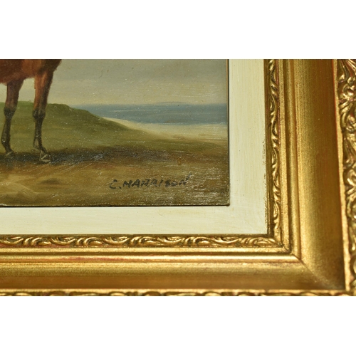 536 - C.HARRISON (20TH CENTURY) TWO EQUINE PORTRAITS, the first depicting a horse with a saddle, signed bo... 