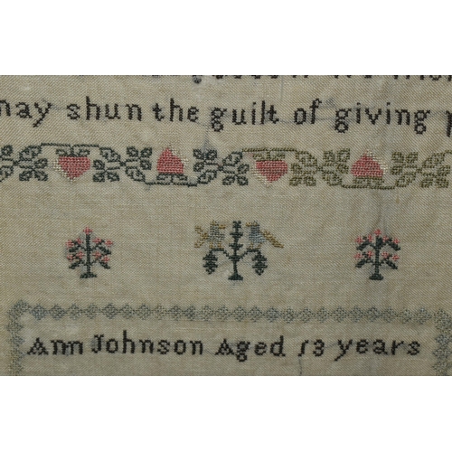 599 - A GEORGIAN WILLIAM IV NEEDLEWORK SAMPLER, worked by 'Ann Johnson Aged 13 Years, December 10th 1833',... 