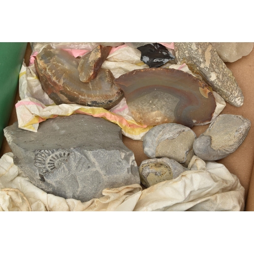 137 - A BOX OF ROUGH GEMS, SHELL ETC., to include a fossil, rough pieces of lace agate, quartz, flint, hem... 