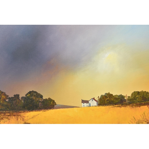 307 - BARRY HILTON (BRITISH 1941) 'SWEEPING SKIES', a signed limited edition print on board, depicting a l... 