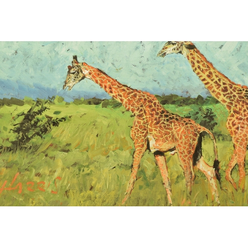 312 - ROLF HARRIS (AUSTRALIAN 1930-2023) 'FOUR GIRAFFES' a limited edition print on board, 35/195 without ... 