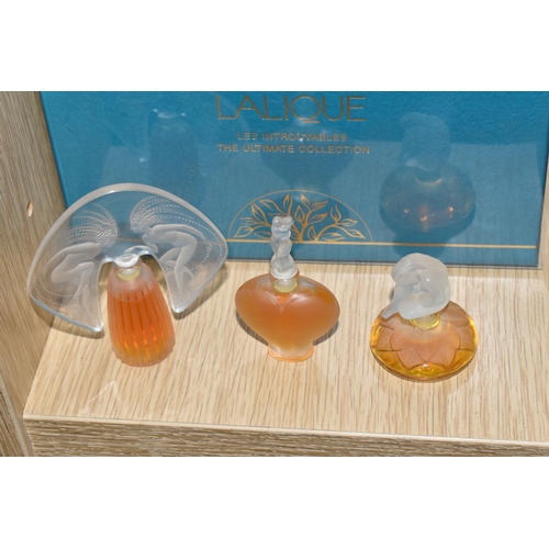 341 - A GROUP OF PERFUMES, comprising a boxed Lalique 'Les Introuvables' three miniature perfume bottles s... 