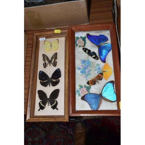 431 - ONE BOX AND LOOSE MISCELLANEOUS ITEMS to include two framed butterfly specimens comprising one mount... 