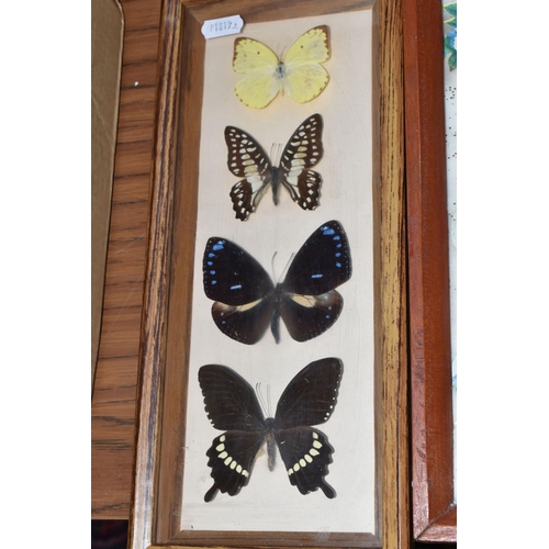 431 - ONE BOX AND LOOSE MISCELLANEOUS ITEMS to include two framed butterfly specimens comprising one mount... 