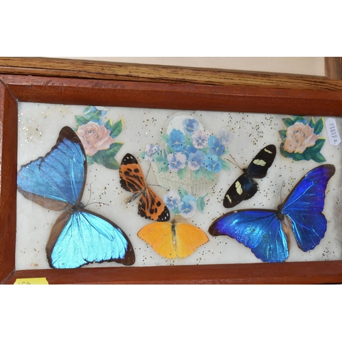 431 - ONE BOX AND LOOSE MISCELLANEOUS ITEMS to include two framed butterfly specimens comprising one mount... 