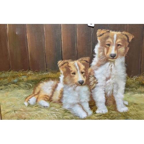 560 - A OIL ON CANVAS PORTRAIT OF TWO DOGS, SIGNED HARRIS BOTTOM RIGHT, approximate size 39cm x 49cm, toge... 