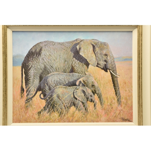 305 - TONY FORREST (BRITISH 1961) 'FAMILY OUTING' an artist proof edition print on board of African Elepha... 