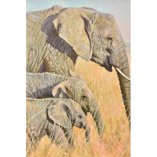 305 - TONY FORREST (BRITISH 1961) 'FAMILY OUTING' an artist proof edition print on board of African Elepha... 