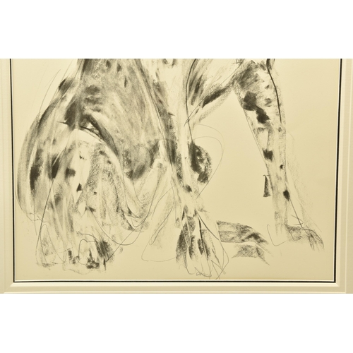 318 - APRIL SHEPHERD (BRITISH CONTEMPORARY) 'DOPEY GREAT DANE, FRONT ON' a sketch of a dog, initialled cen... 