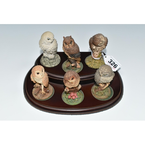 326 - A SET OF SIX ROYAL DOULTON OWL FIGURES, with wooden display stand, the resin owls approximately 8cm ... 