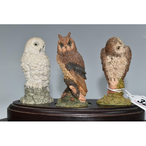 326 - A SET OF SIX ROYAL DOULTON OWL FIGURES, with wooden display stand, the resin owls approximately 8cm ... 