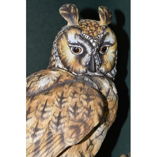 380 - A CLERMONT FINE CHINA 'LONG-EARED OWL' FIGURE, limited edition 55/100, with certificate and wooden b... 