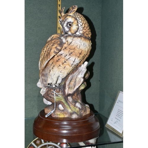 380 - A CLERMONT FINE CHINA 'LONG-EARED OWL' FIGURE, limited edition 55/100, with certificate and wooden b... 