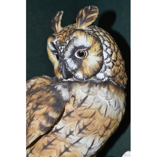 380 - A CLERMONT FINE CHINA 'LONG-EARED OWL' FIGURE, limited edition 55/100, with certificate and wooden b... 