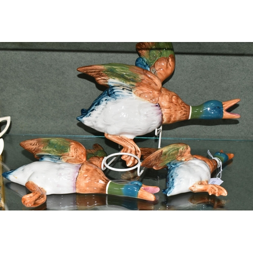 382 - A SET OF THREE BESWICK FLYING DUCK WALL PLAQUES, comprising model numbers 596-0, 596-1 (wing repaire... 