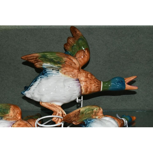 382 - A SET OF THREE BESWICK FLYING DUCK WALL PLAQUES, comprising model numbers 596-0, 596-1 (wing repaire... 