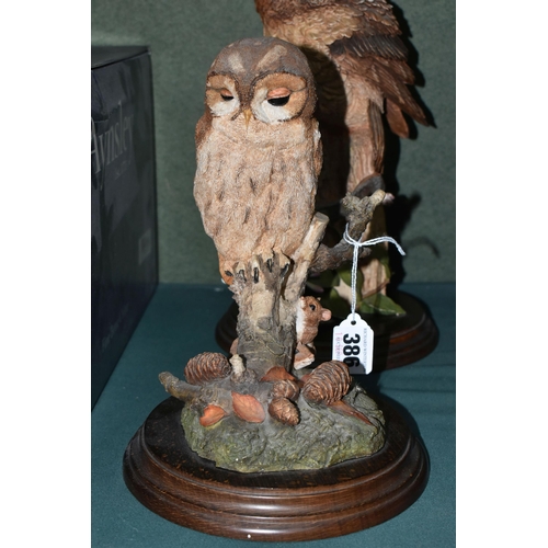 386 - A COLLECTION OF COUNTRY ARTISTS BIRD SCULPTURES AND TABLE LAMP, comprising CA97 Tawny Owl with Mice,... 