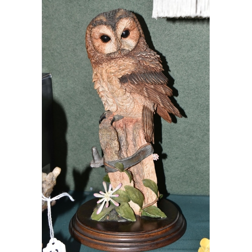 386 - A COLLECTION OF COUNTRY ARTISTS BIRD SCULPTURES AND TABLE LAMP, comprising CA97 Tawny Owl with Mice,... 