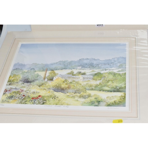 390 - A LARGE GROUP OF LIMITED EDITION MOUNTED PRINTS BY K W BURTON, ERIC STURGEON, AND DARREN BAKER, to i... 