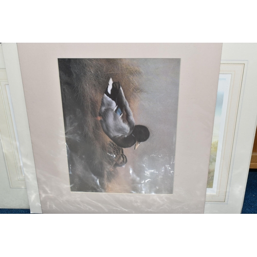 462 - A LARGE GROUP OF MOUNTED PRINTS to include two limited edition Darren Baker (British 1976) prints 'B... 