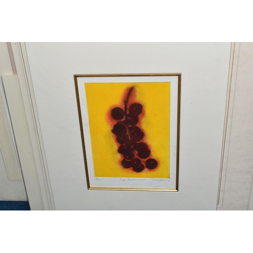 462 - A LARGE GROUP OF MOUNTED PRINTS to include two limited edition Darren Baker (British 1976) prints 'B... 