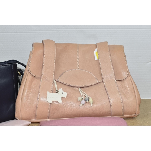 488 - TWO RADLEY AND ONE FIORELLI HANDBAGS, comprising an oyster coloured Fiorelli handbag with a removabl... 