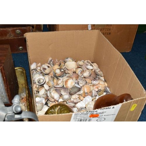 506 - THREE BOXES AND LOOSE MISCELLANEOUS SUNDRIES, to include a large collection of seashells, a pewter p... 