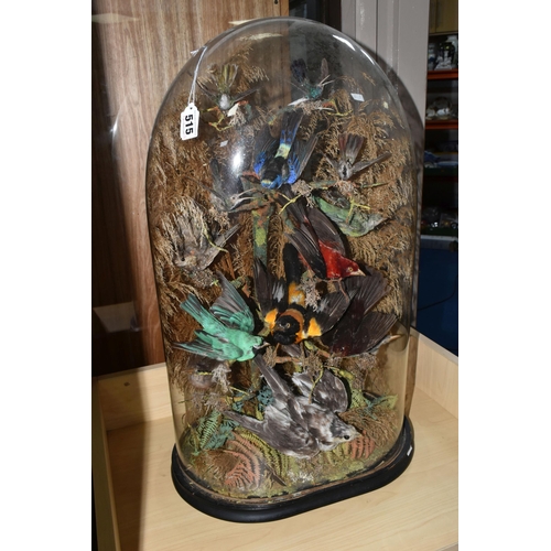 515 - A LARGE TAXIDERMY DOMED GLASS DISPLAY CASE OF BIRDS IN A BUSH containing fourteen exotic birds set a... 