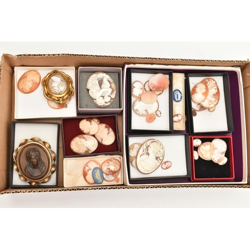 120 - A SELECTION OF LOOSE SHELL CAMEOS AND TWO BROOCHES, including various sized carved shell cameos, mos... 