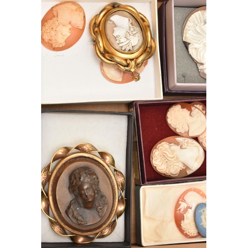 120 - A SELECTION OF LOOSE SHELL CAMEOS AND TWO BROOCHES, including various sized carved shell cameos, mos... 