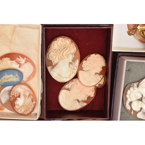 120 - A SELECTION OF LOOSE SHELL CAMEOS AND TWO BROOCHES, including various sized carved shell cameos, mos... 