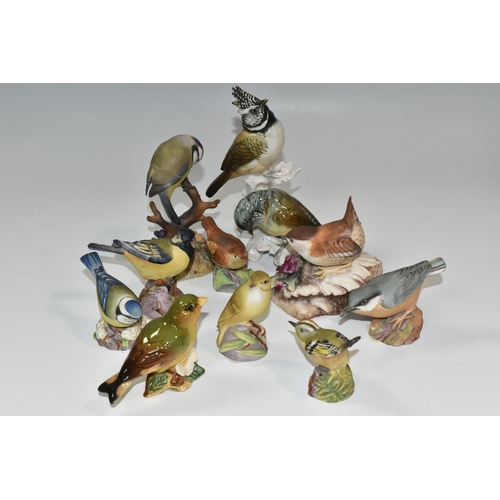 315 - A GROUP OF EIGHT ROYAL WORCESTER BIRDS AND FOUR SIMILIAR PORCELAIN BIRDS, comprising Great Tit, Nuth... 