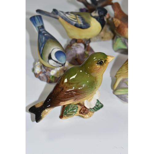 315 - A GROUP OF EIGHT ROYAL WORCESTER BIRDS AND FOUR SIMILIAR PORCELAIN BIRDS, comprising Great Tit, Nuth... 