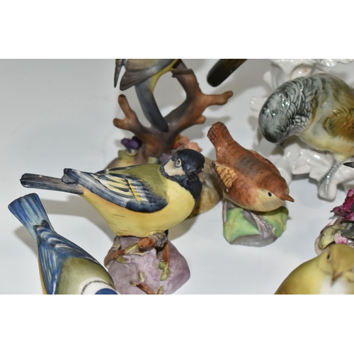 315 - A GROUP OF EIGHT ROYAL WORCESTER BIRDS AND FOUR SIMILIAR PORCELAIN BIRDS, comprising Great Tit, Nuth... 