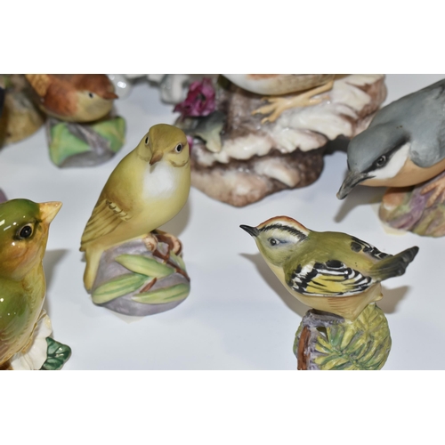 315 - A GROUP OF EIGHT ROYAL WORCESTER BIRDS AND FOUR SIMILIAR PORCELAIN BIRDS, comprising Great Tit, Nuth... 