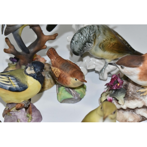 315 - A GROUP OF EIGHT ROYAL WORCESTER BIRDS AND FOUR SIMILIAR PORCELAIN BIRDS, comprising Great Tit, Nuth... 