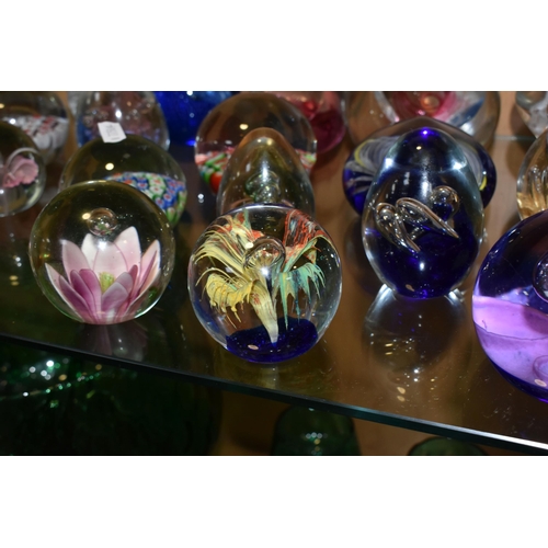 361 - A COLLECTION OF PAPERWEIGHTS, thirty one examples, to include a Caithness limited edition 'Rendezvou... 