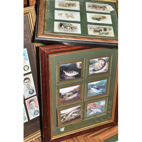 420 - TWO BOXES AND LOOSE FRAMED COLLECTABLE CIGARETTE CARDS comprising a variety of sizes and manufacture... 